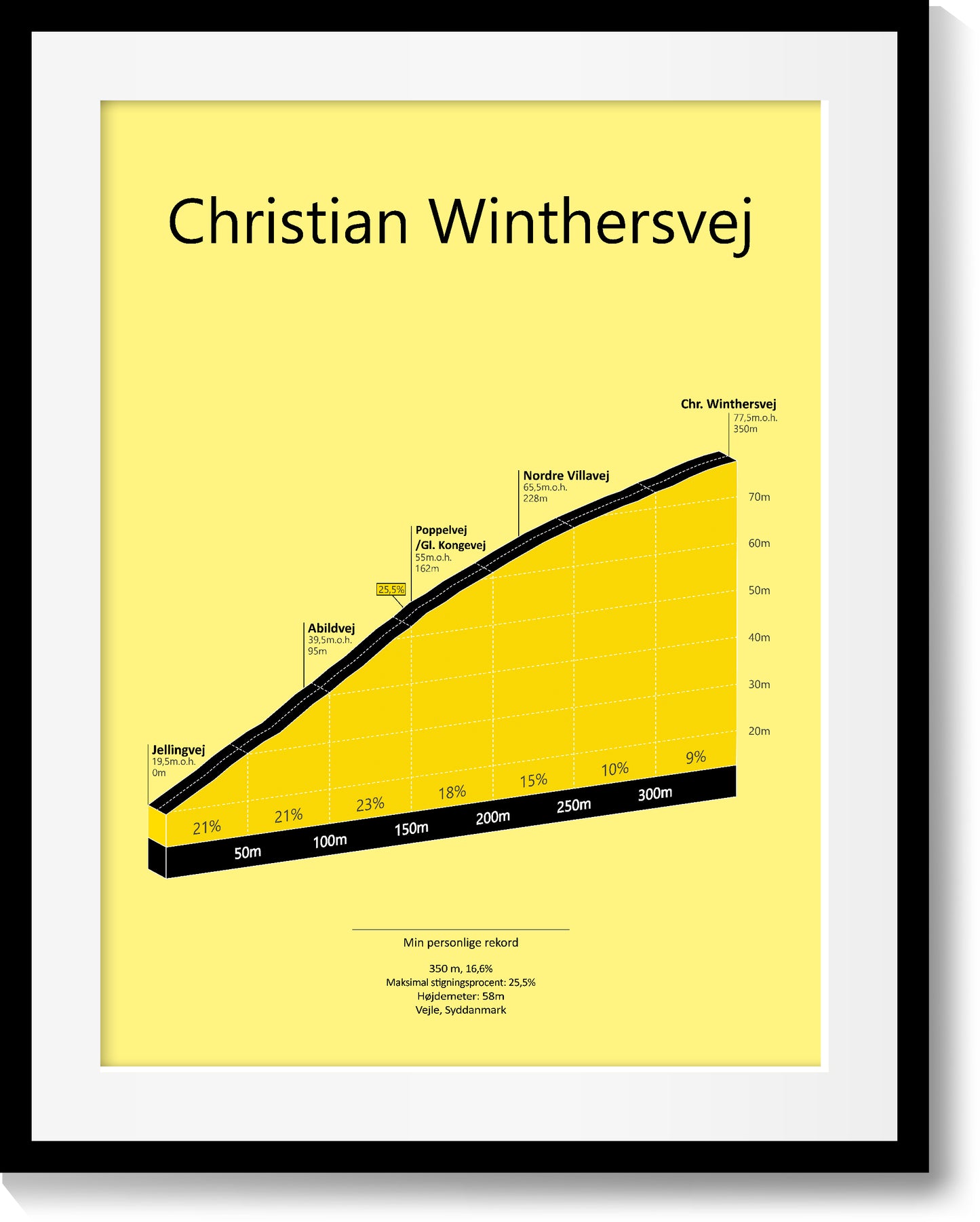 Chr. Winthersvej, poster