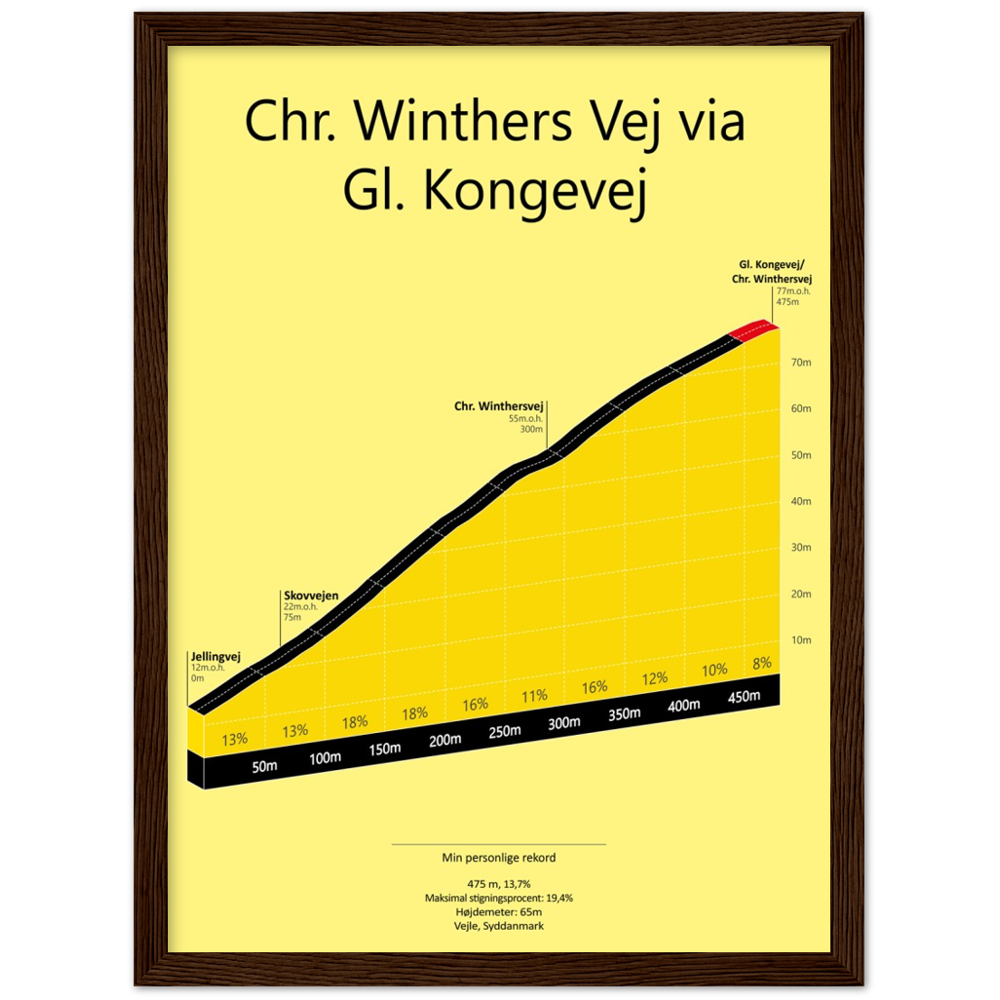 Chr. Winthersvej via Gl. Kongevej, poster