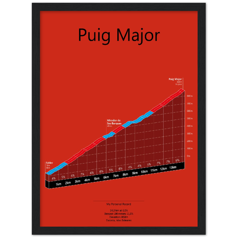 Puig Major, poster