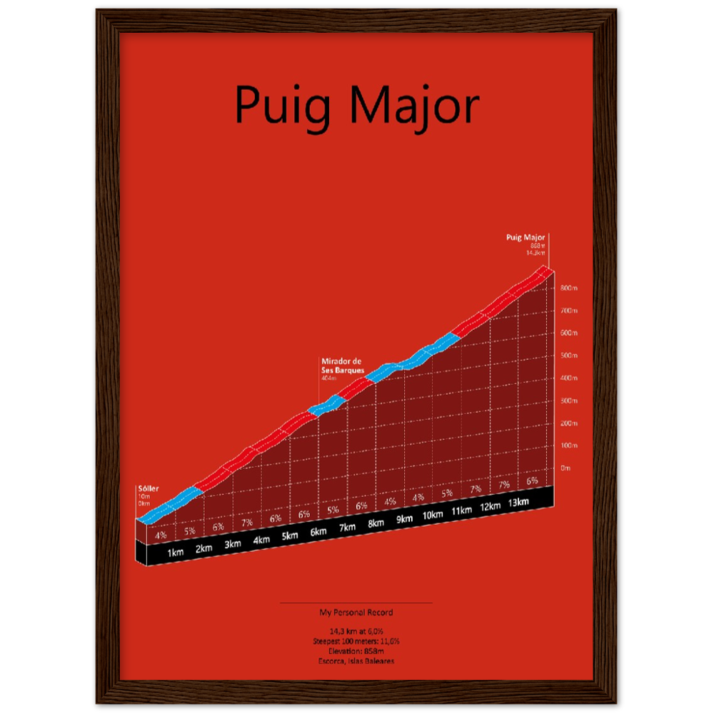 Puig Major, poster