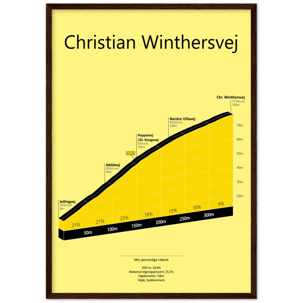 Chr. Winthersvej, poster