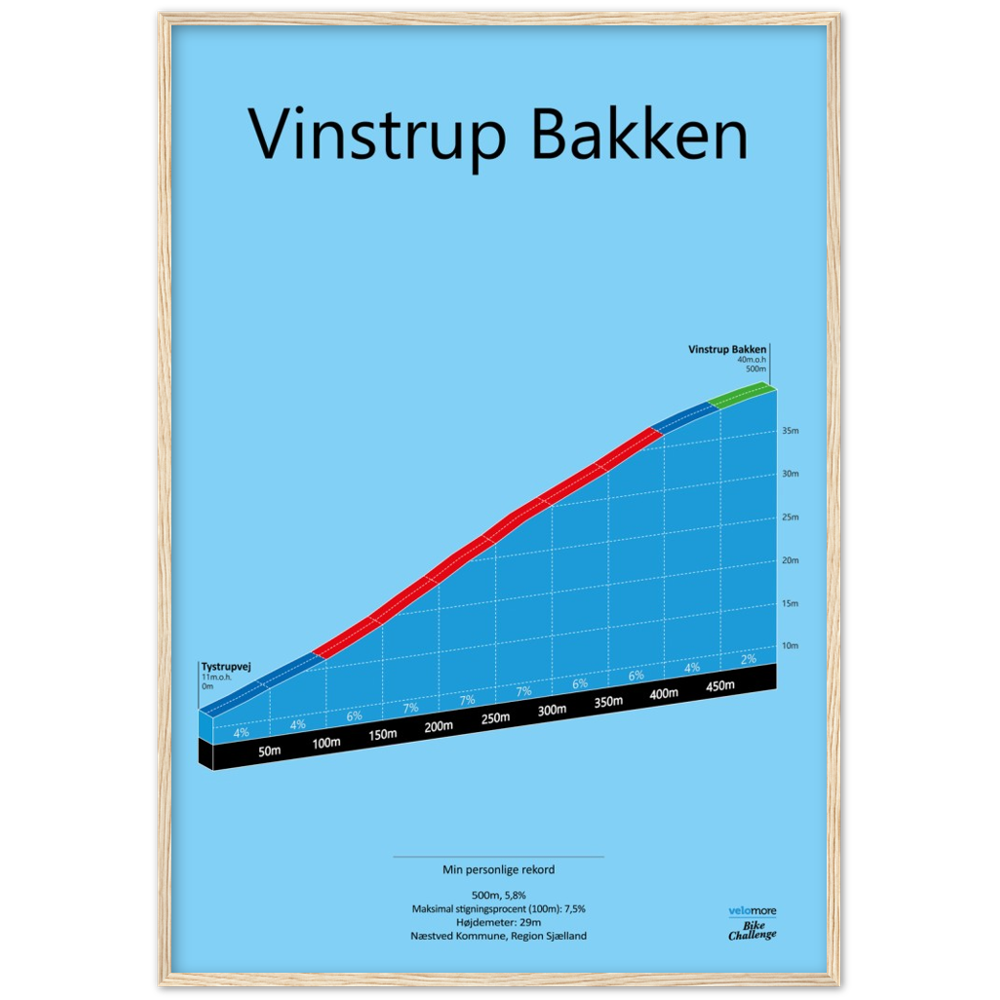 Vinstrup Bakken, poster