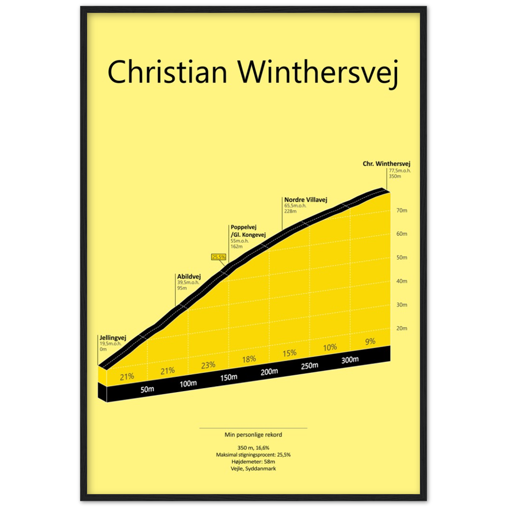 Chr. Winthersvej, poster
