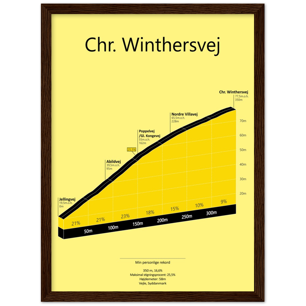 Chr. Winthersvej, poster