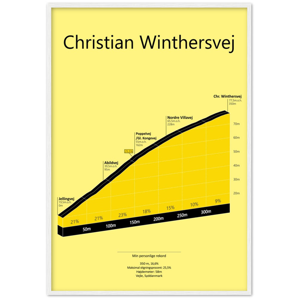 Chr. Winthersvej, poster