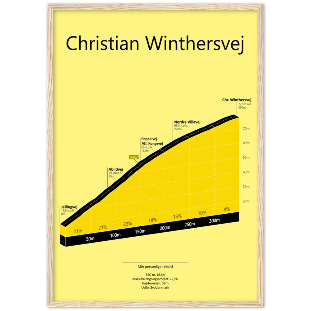Chr. Winthersvej, poster
