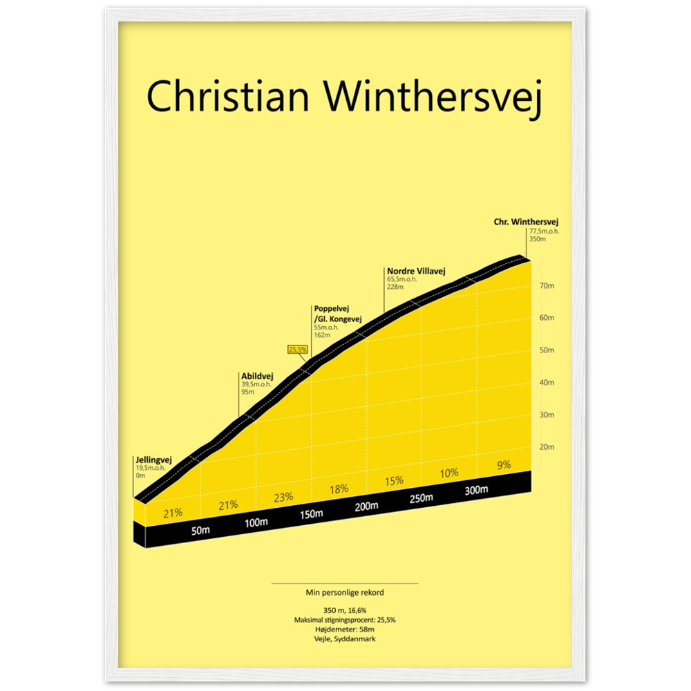 Chr. Winthersvej, poster