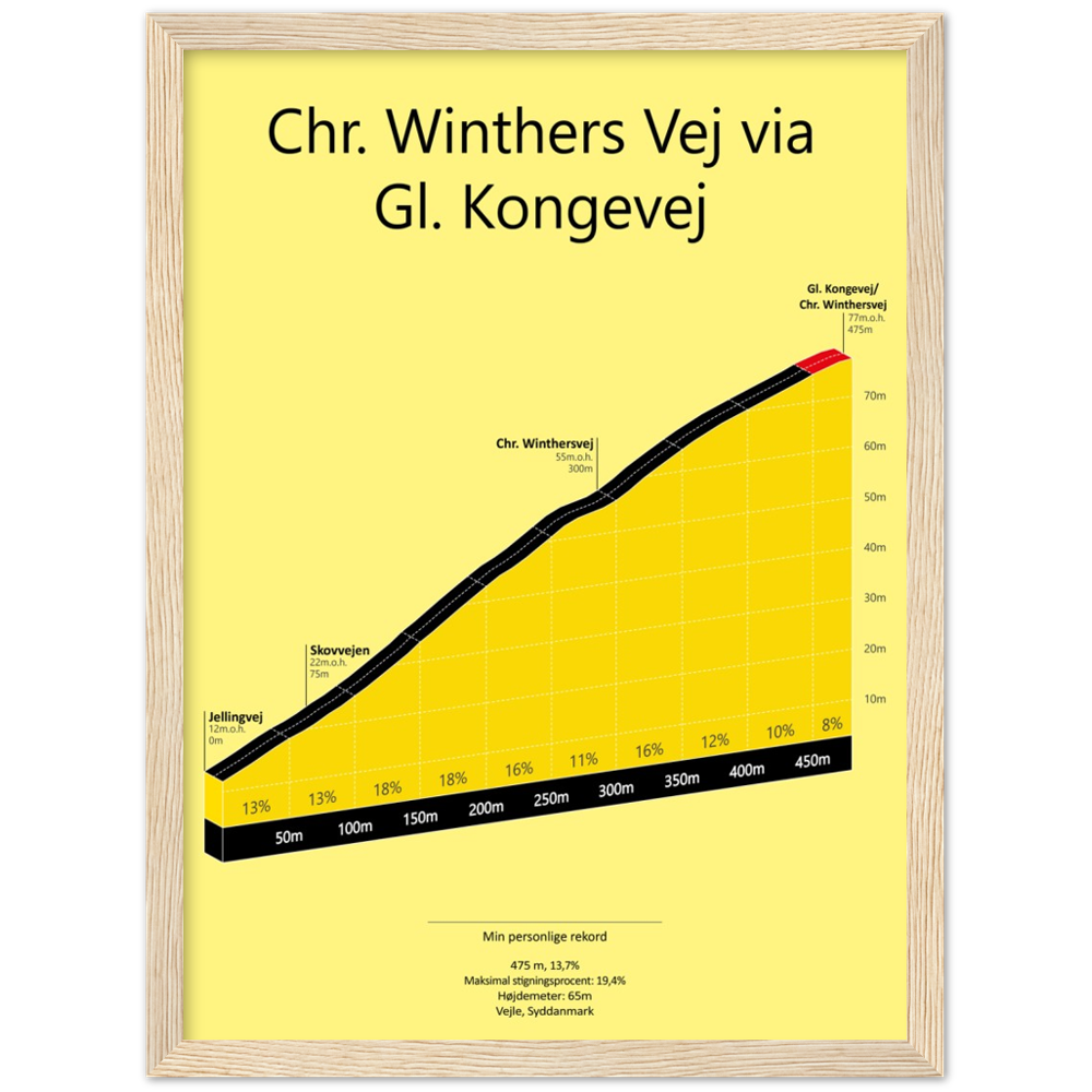 Chr. Winthersvej via Gl. Kongevej, poster