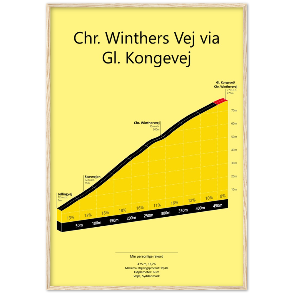 Chr. Winthersvej via Gl. Kongevej, poster