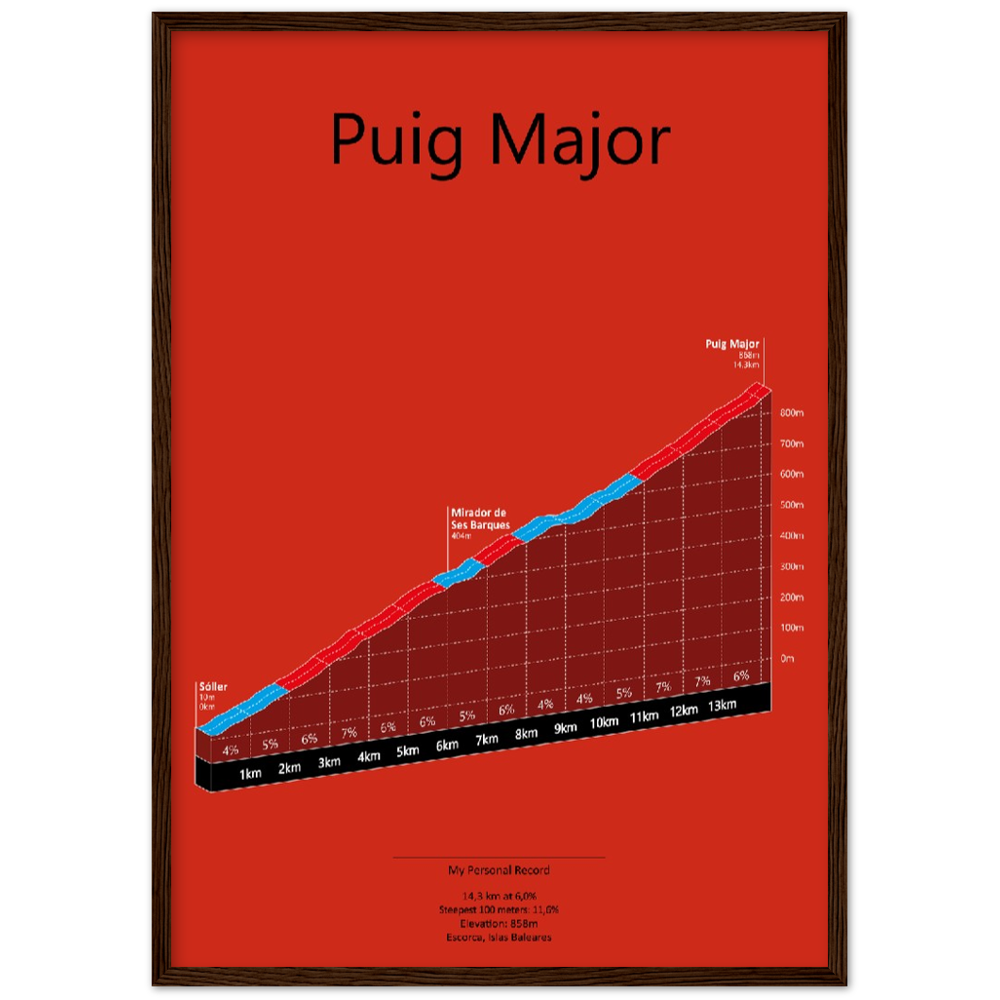 Puig Major, poster