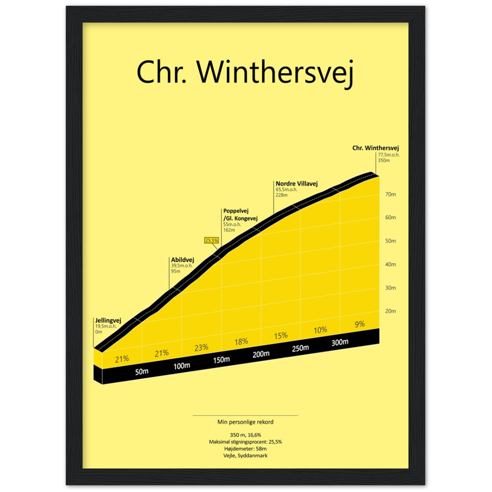 Chr. Winthersvej, poster