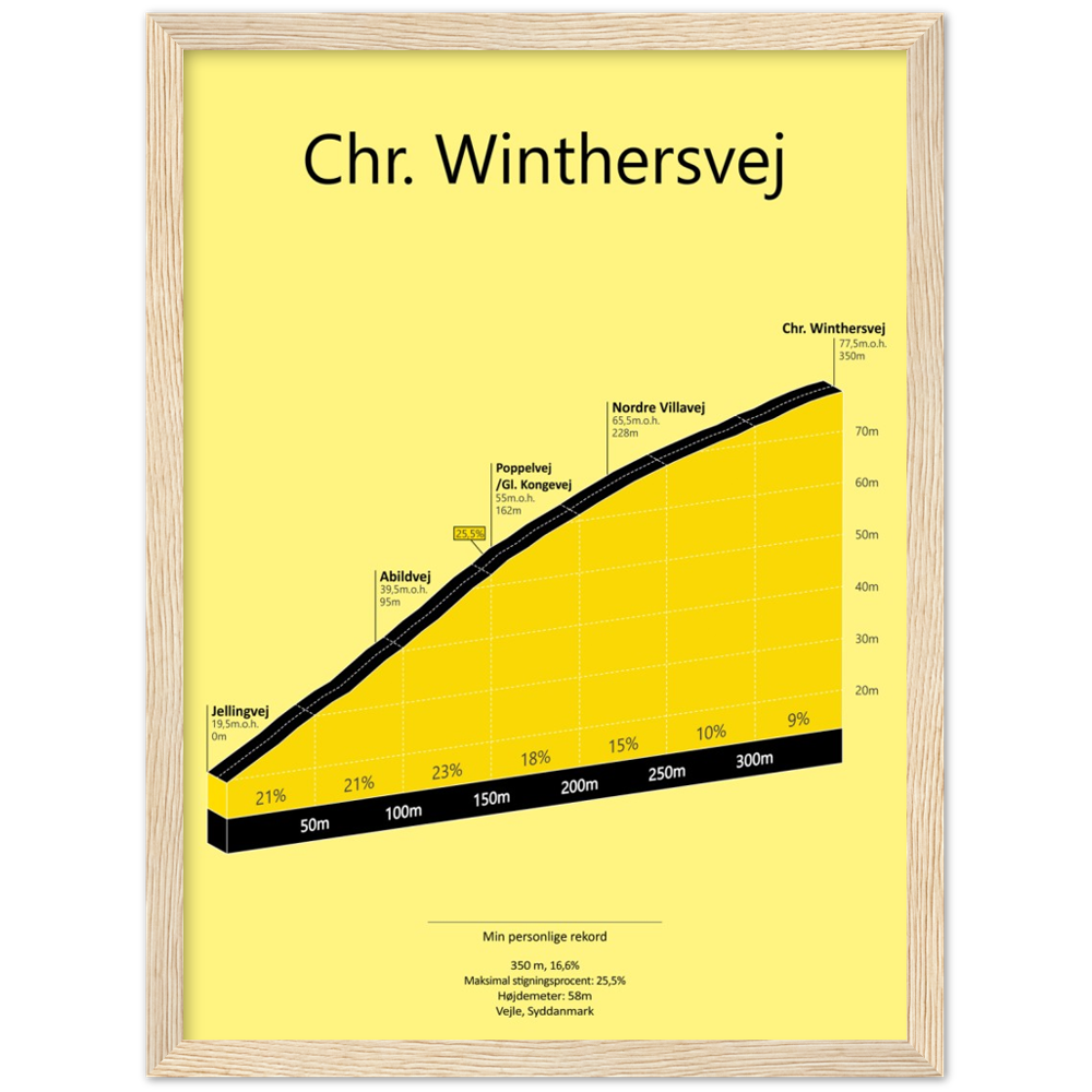 Chr. Winthersvej, poster