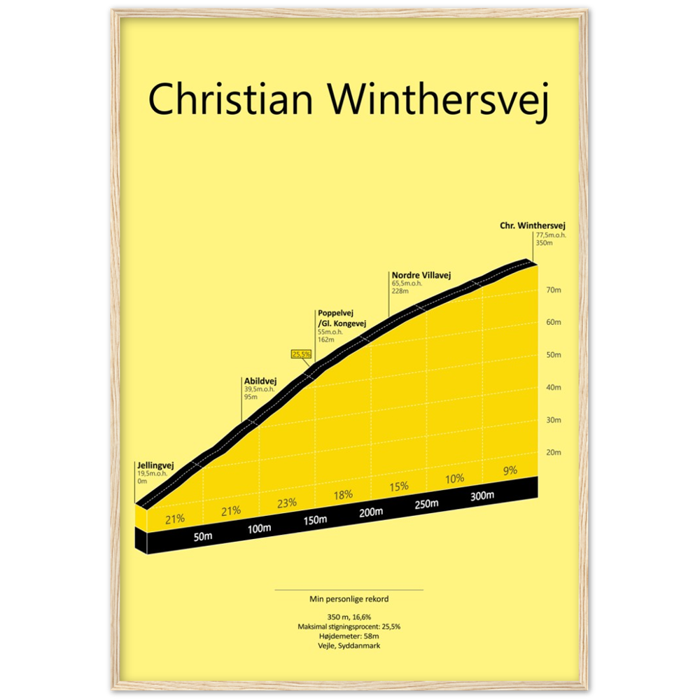 Chr. Winthersvej, poster